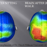 Hacer deporte es benéfico para el cerebro