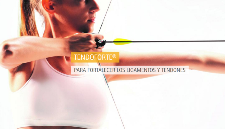 Gamers podrían mantener la salud de articulaciones y tendones con Péptidos Bioactivos de Colágeno