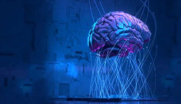 Colaboración científica para desarrollar la neurorobótica más avanzada del mundo