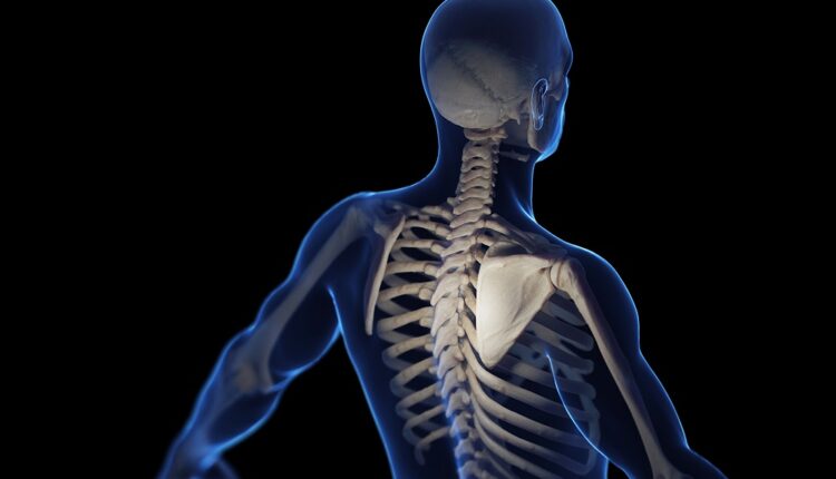 Implantes biomiméticos disolubles mejoran la capacidad del cuerpo para curar huesos rotos
